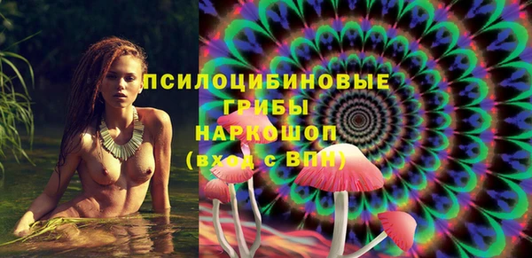 ешки Верхний Тагил