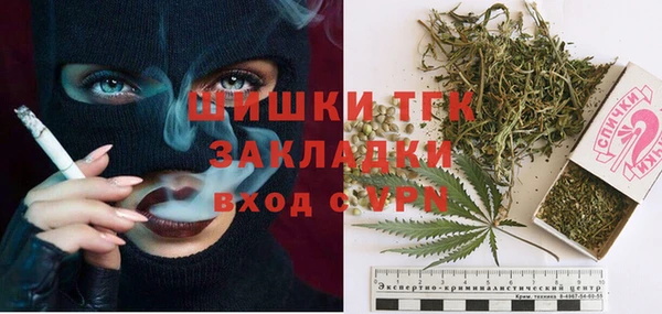 ешки Верхний Тагил