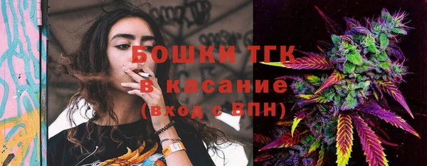 ешки Верхний Тагил